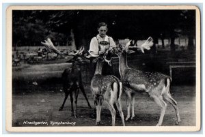 c1950's Deer Scene Hirschgarten Nymphenburg Munich Germany Vintage Postcard