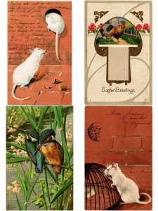 ANIMALS ANIMAUX MIX 300 CPA Pre - 1940