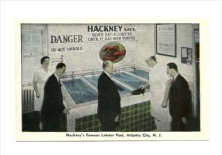 New Jersey Atlantic City Hackney's  Restaurant   Famous Lobster Pool