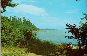 Miracle Beach BC btwn Courtenay and Campbell River Unused Postcard G98