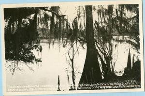 FL - Suwannee River   *RPPC