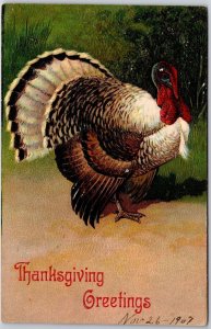 1907 Thanksgiving Greetings Turkey Embossed Back Posted Postcard