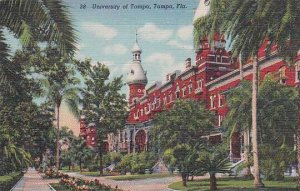 Florida Tampa University Of Tampa