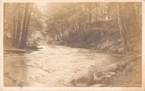 Browns River Forest View Scenic View Real Photo Antique Postcard J55256