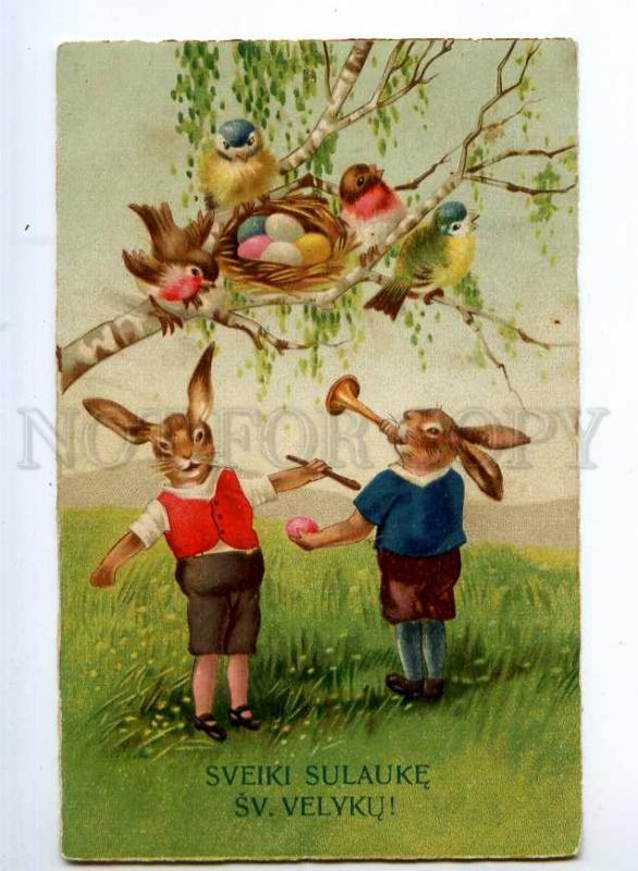 245268 EASTER Dressed RABBIT Hare BIRDS Nest EGG Vintage PC