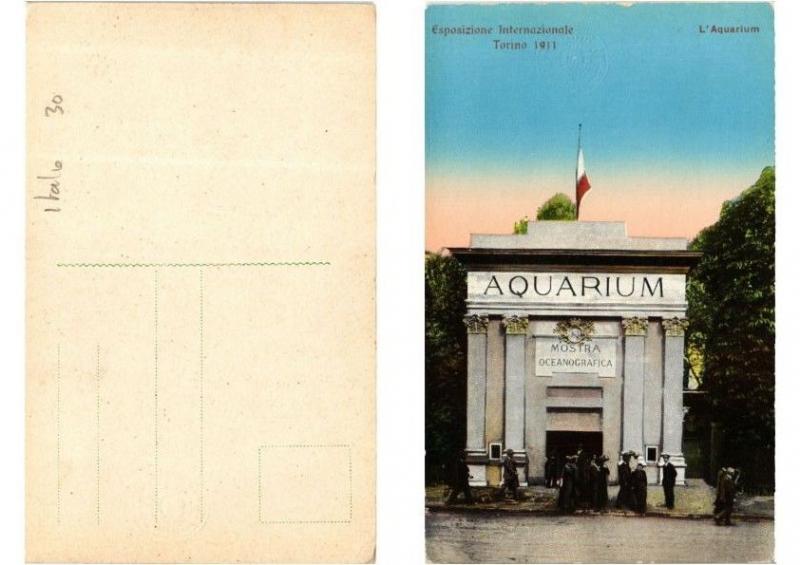 CPA AK Torino Esposizione Internazionale - L'Aquarium. ITALY (398064)