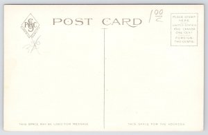 Columbus Ohio~US Post Office~Horse & Buggy in Front~c1910 Postcard