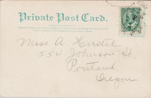 Moose Hunting New Brunswick NB Hunters Seal Crest 1906 Postcard E39