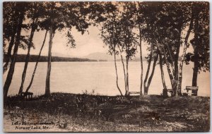 VINTAGE POSTCARD VIEW OF LAKE PENNESSEEWASSEE AT NORWAY LAKE MAINE POSTED 1919