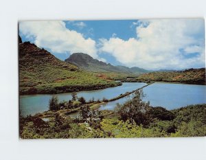 Postcard Menehune Fish Pond Kauai Hawaii USA