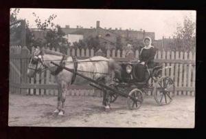 3013213 HORSE & Lady in Carriage RURAL Vintage REAL PHOTO