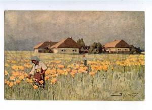 225894 RUSSIA ZARUBIN UKRAINE Farm Fedorov #175 Tir5t postcard