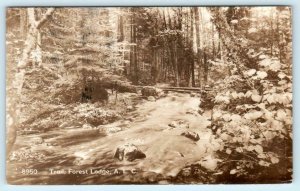 RPPC  HONNEDAGA, New York NY ~ A.L.C. Trail at FOREST LODGE 1913  Postcard