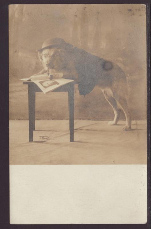 Dog With Pipe,Glasses Postcard