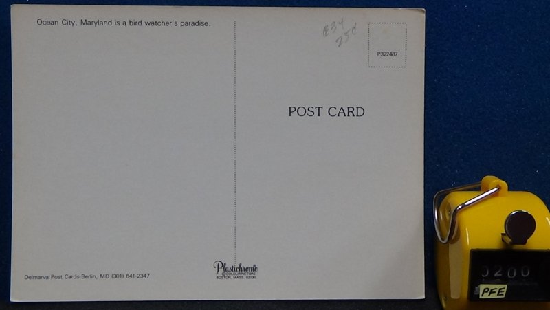 Continental Beach View Ocean City Maryland Unposted