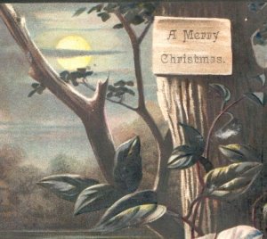 1880s Victorian Christmas Trade Card Moonlight Lake White Flower Vine F106