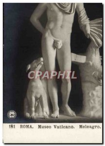 Old Postcard Roma Museo Vaticano Meleagro Dog