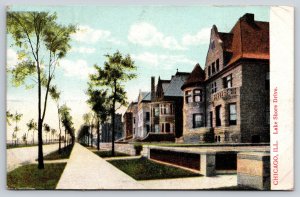 Chicago Illinois~Lake Shore Drive Road~Residences~Queen Anne~c1910 Postcard