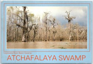 Postcard - Louisiana River basin Swamp, Atchfalaya Swamp - Louisiana