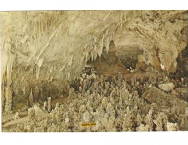 Postcard Fairyland Carlsbad Caverns National Park New Mexico Chihuahuan Desert.