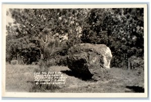 c1940's Log Circumference Petrified Forest Piedmont SD RPPC Photo Postcard