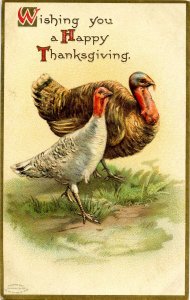 Greeting - Thanksgiving 