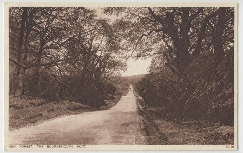 Hampshire; New Forest, The Bournemouth Road PPC By Photochrom, c 1930's, Unused 