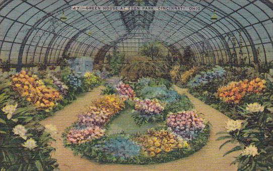 Ohio Cincinnati Green House At Eden Park 1951 Kraemer Art