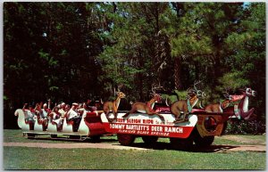 Free Sleigh Ride To And From Tommy Bartlett's Deer Ranch Silver Springs Postcard