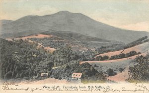 View of Mount Tamalpais from Mill Valley, Marin County 1907 Vintage Postcard