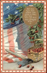 George Washington Patriotic Tuck #178 Axe & Cherries  Embossed c1910 Postcard