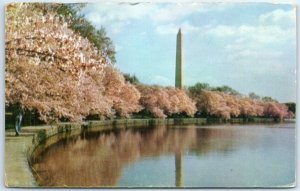 M-54022 The Washington Monument Washington D C