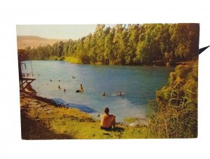 People Swimming In The River Jordan Vintage Israel Postcard