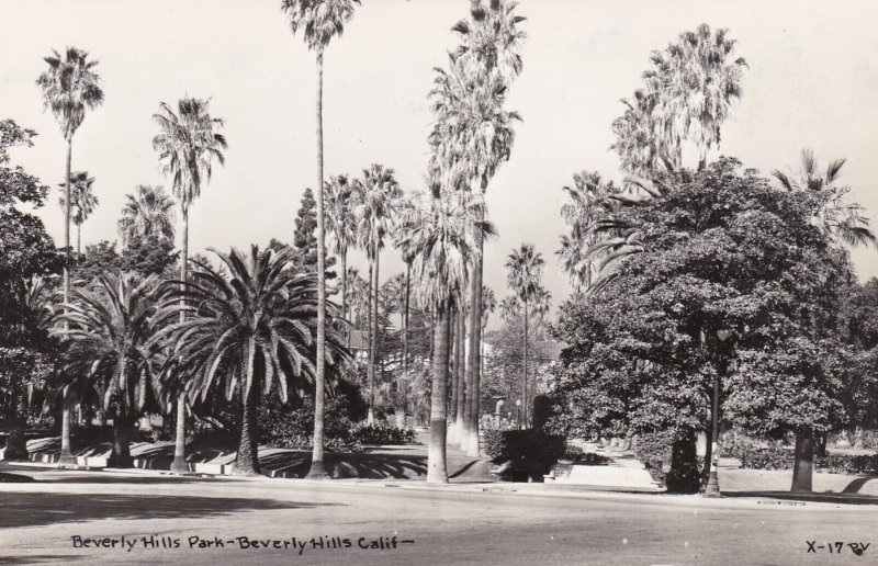 California Beverly Hills Scene In Beverly Hills Park Real Photo