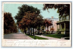 1907 Main Street Dirt Road Houses Lined Trees Path Racine Wisconsin WI Postcard