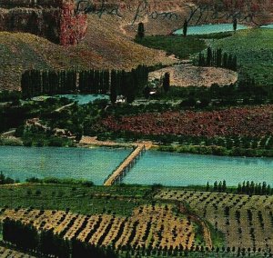 Perrine Ranch Blue Lakes SNAKE RIVER IDAHO 1916 Wesley Postcard 3589