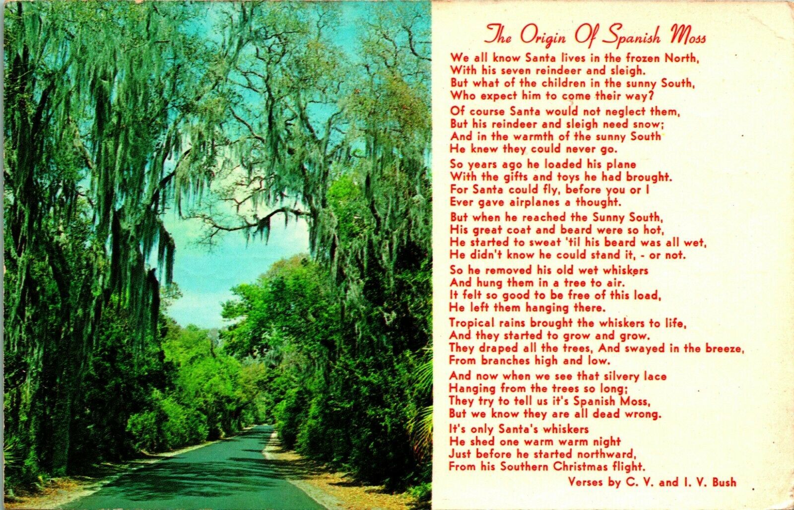 Origin of Spanish Moss Poem CV & IV Bush Florida FL Chrome Postcard