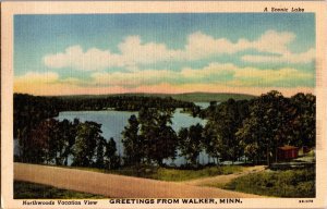 Northwoods View, Greetings From Walker MN Vintage Postcard L76