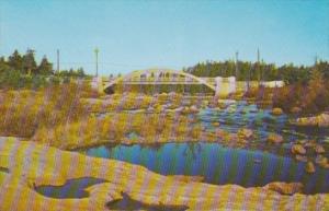 Canada Bridge Of Manuels In Conception Bay Peninsula Newfounfland