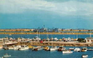 California CA ~ MUNICIPAL YACHT HARBOR~North San Diego Bay BOATS~Marina Postcard