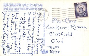 Coram New York 1962 Postcard Long Island Ducks