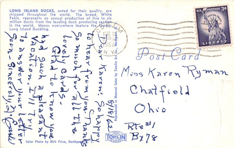 Coram New York 1962 Postcard Long Island Ducks