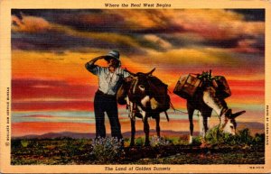 Donkeys The Land Of Golden Sunsets Where The Real West Begins 1945 Curteich