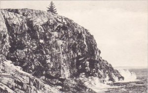 Maine Bar Harbor Great Head Albertype