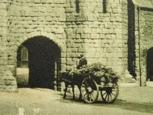 Northumberland ALNWICK Hotspur Tower - Old Postcard