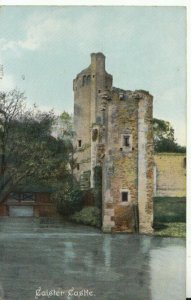 Norfolk Postcard - Caister Castle - Ref TZ9347