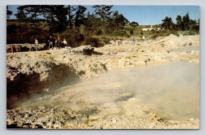 Sulphur Bath   Rotorua  New Zealand    Postcard