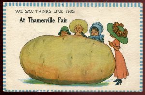 h551 - THAMESVILLE Ontario Postcard 1912 At the Fair. Exaggeration Potato