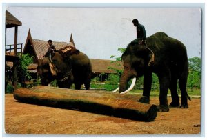 1972 Thai Elephants Pushing The Log With Their Trunks Thailand Air Mail Postcard