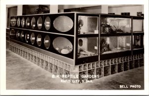 Real Photo Postcard Interior of B.H. Reptile Gardens in Rapid City, South Dakota